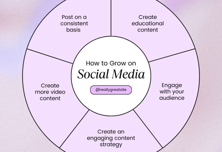 Portfolios 2 3 5 Moo Social